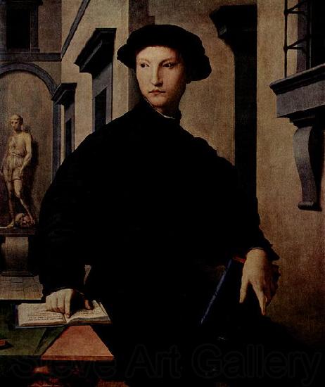 Agnolo Bronzino Portrat des Ugolino Martelli France oil painting art